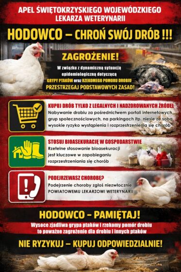 Hodowco – chroń swój drób!
