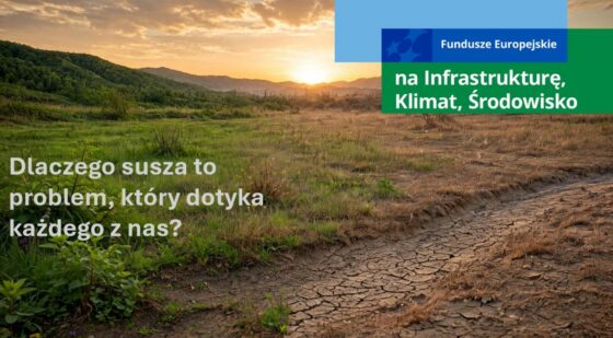 Dlaczego susza to problem, który dotyka każdego z nas?
