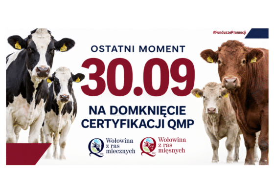 Komunikat o terminie certyfikacji QMP